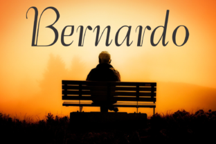 Bernardo Family: A Modern Display Font for Dynamic Web Design