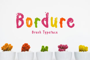 Bordure: A Playful Brush Font for Editorial Mood
