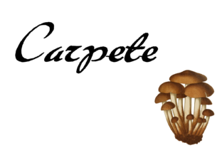 Carpete: A Naive Brush Font for Warm Branding