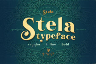 Stela Family: A Vintage Grunge Font for Makers