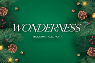 Wonderness: A Display Font That Brings Handmade Products to Life