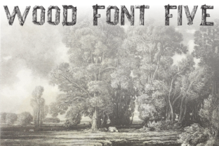 Wood Font Five: A Display Typeface Rooted in Natural Character